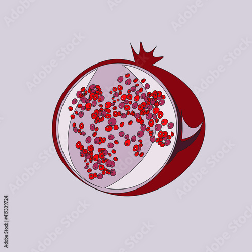Red ripe pomegranate with seeds. Fruit. Veganism, vegetarianism, raw food diet, proper nutrition. Vector isolated objects.
