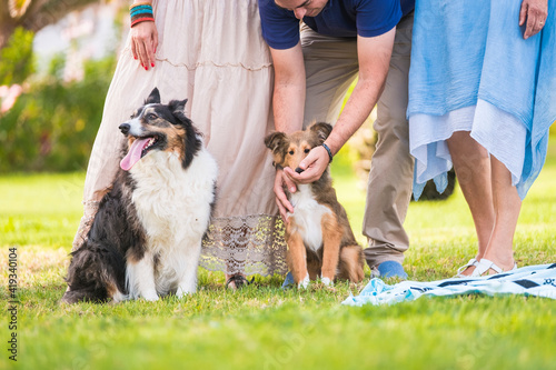 Dog and family human people portrait in outdoor leisure activity together at the park