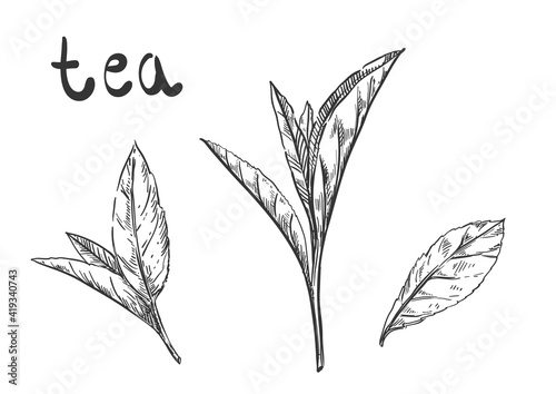 2021.02 tea artbord