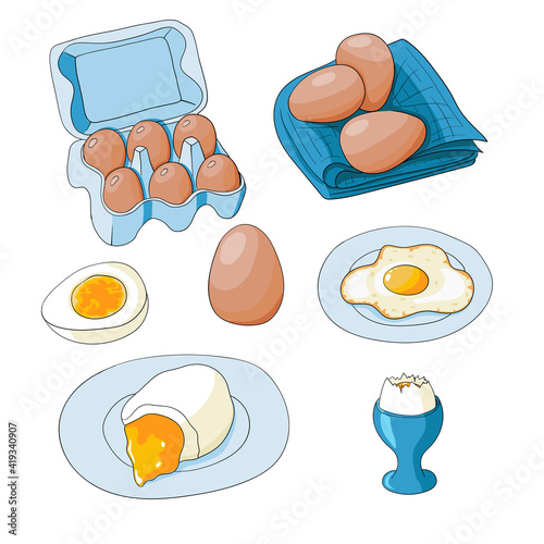 chicken egg raw and cooked. Cartoon style vector illustration.
