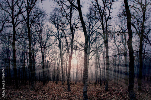 Paisaje otoñal de una puesta de sol con hazes de luz del sol atravesando de los arboles .