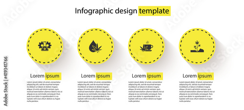 Set Test tube with marijuana, Marijuana or cannabis leaf oil, Cup tea and Planting. Business infographic template. Vector.