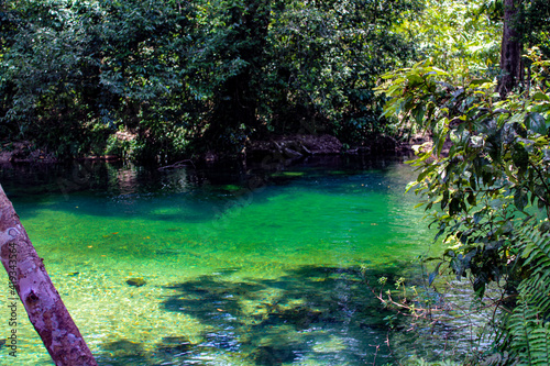 river in the rainforest