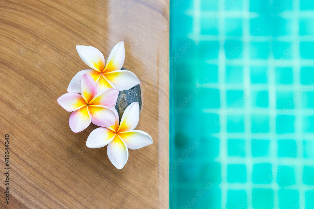 Beautiful plumeria flower and stone on swimming pool edge with space on blurred blue water background Beautiful plumeria flower and stone on swimming pool edge with space on blurred blue water background