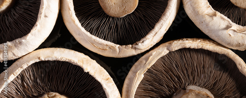 portobello mushrooms close-up, panoramic background image photo