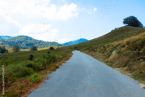 Beautiful country road with a spectacular view of the green hills in nature, Corsica France