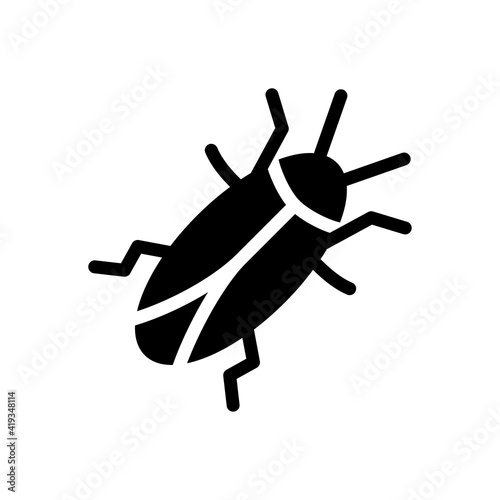 cockroach