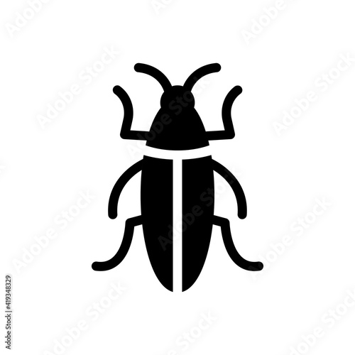insect