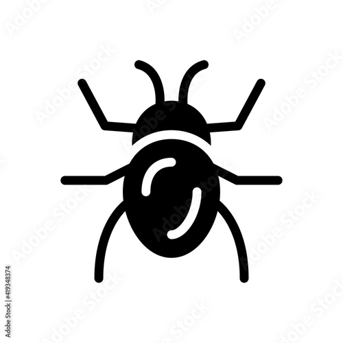 insect
