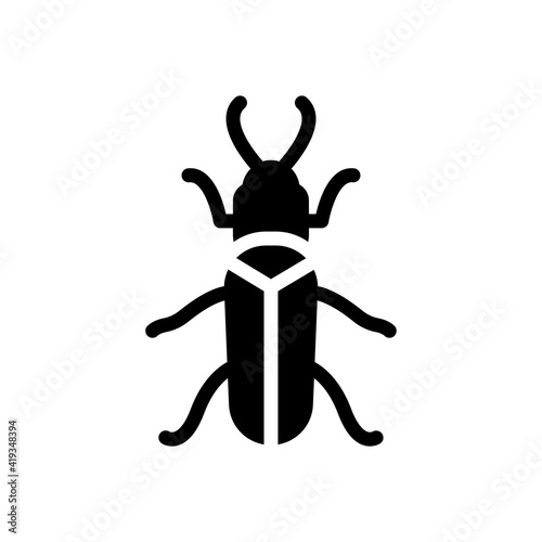 insect