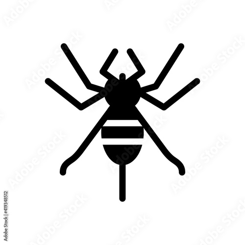 insect