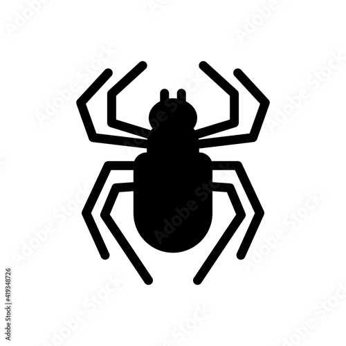 spider