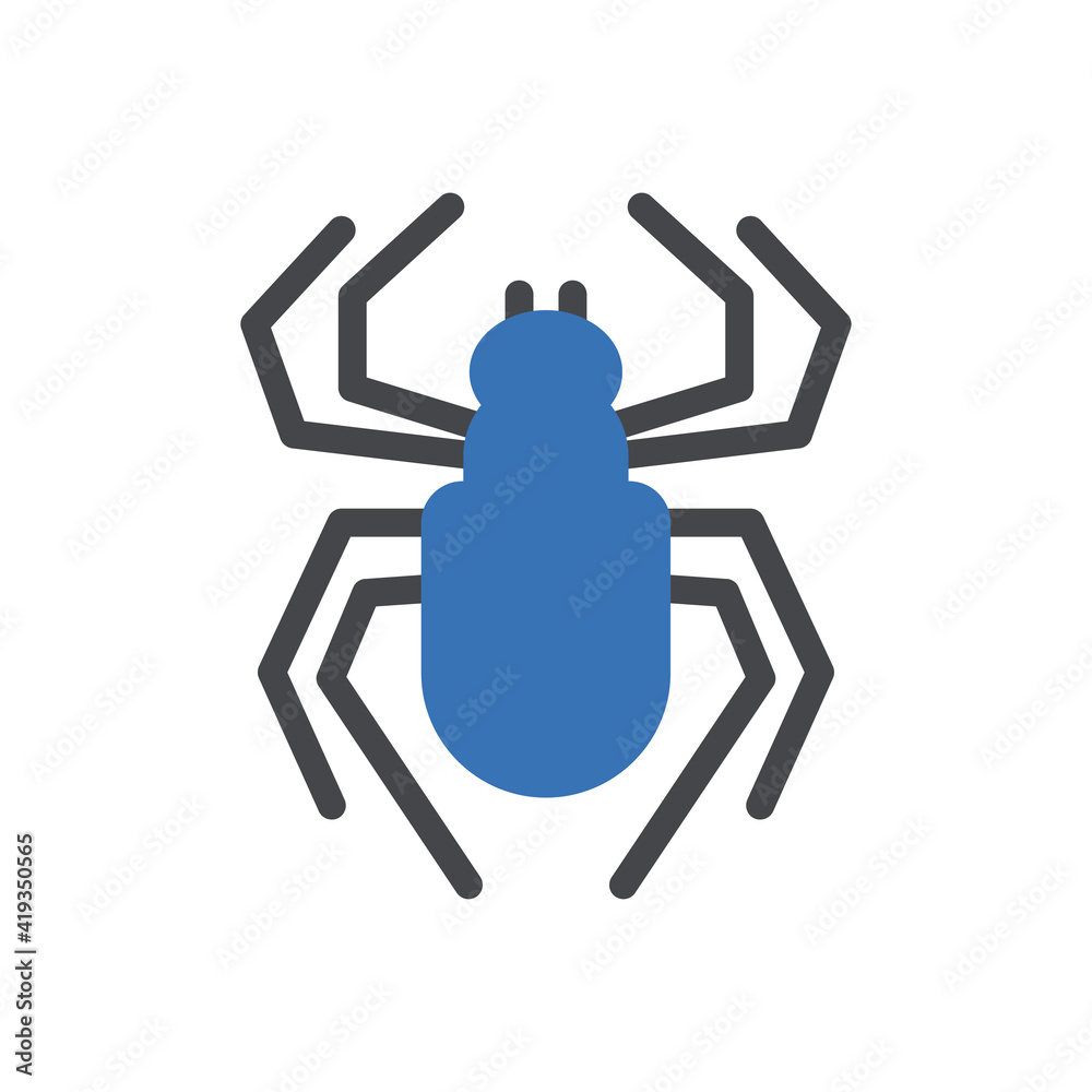 spider spider