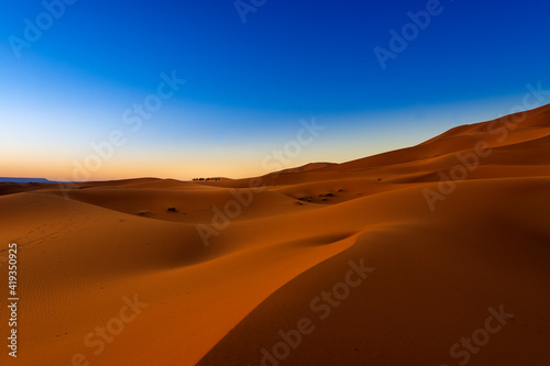 Scenic view of the beautiful Erg Chebbi dunes at dawn, with a camel caravan on the background, in Morocco, North Africa © Tiago Fernandez