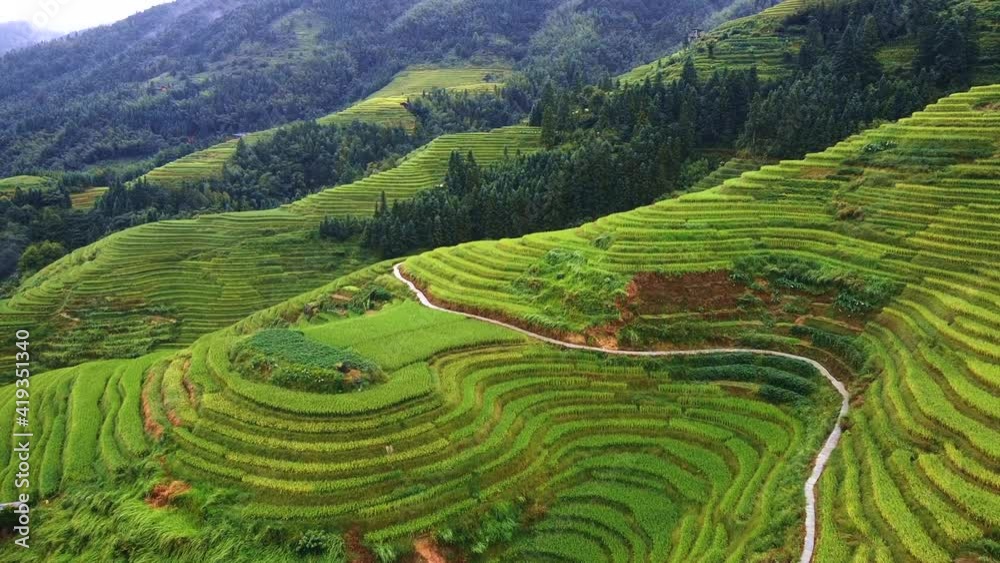 Terraced Rice Patties in China