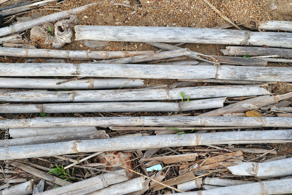 Close Up of Discarded Bamboo Stems in Garden Close Up of Discarded Bamboo Stems in Garden
