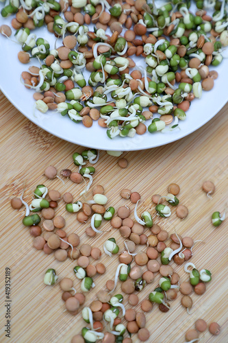 sprouted seeds of cereals, lentils, mung beans