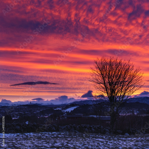 Sunrise with tree