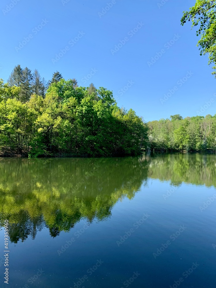 The reflection of beauty The reflection of beauty