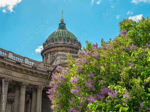 The spring scenic with Kazan Cathedral in lilac flowers, iconic landmark in St. Petersburg