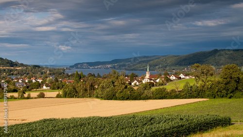 landscape with mountains and lake / Lake Constance (Bodensee), Eschenz, Switzerland