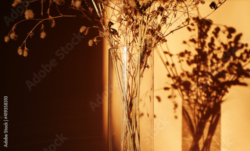 Fototapeta Naklejka Na Ścianę i Meble -  Dried flowers bouquet. Sunset shadow at home. Wildflowers decoration 