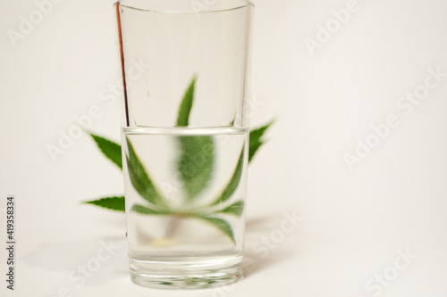 Cannabis leaf through glass of water. Optical illusion. Refraction effect. 