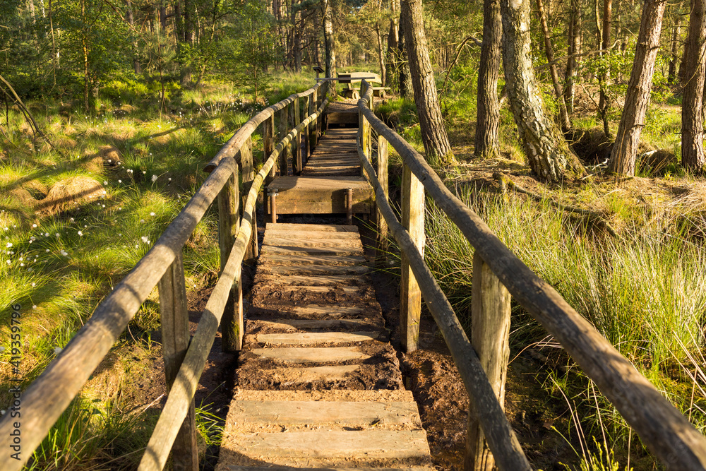 Holzbohlenweg im Holzbohlenweg im