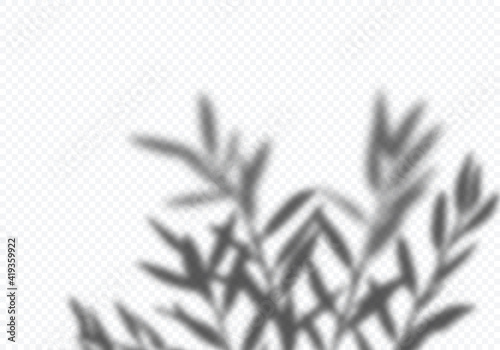 Vector Transparent Shadow of Bunch Leaves. Tree Silhouette. Decorative Design Element for Presentations and Mockups. Creative Overlay Effect