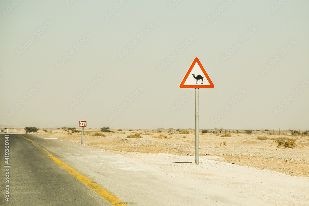 Road sign caution camels crossing. Street sign danger of wandering animals causing road accident. Sign beside the desert empty road.