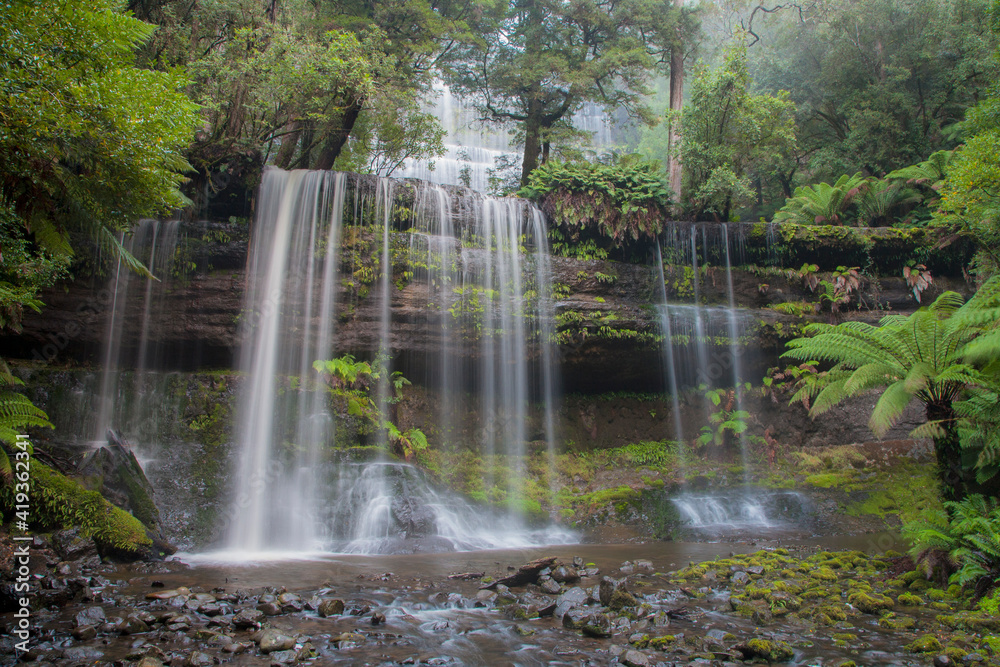 Obraz premium Beautiful , cascading , Russell Falls. Mount Field National Park .A World Heritage Site. Central Highlands of Tasmania. Australia.