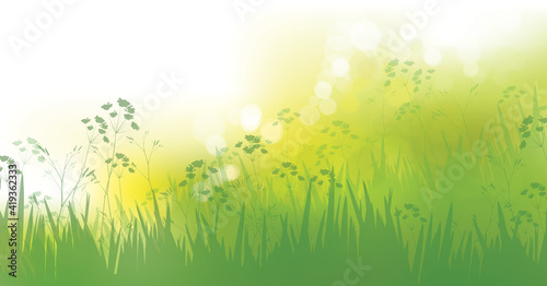 Vector green grass, nature background. Spring  bokeh background.