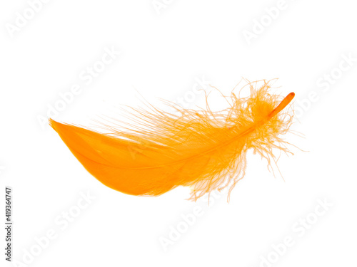 Orange fluffy feather isolated on the white background