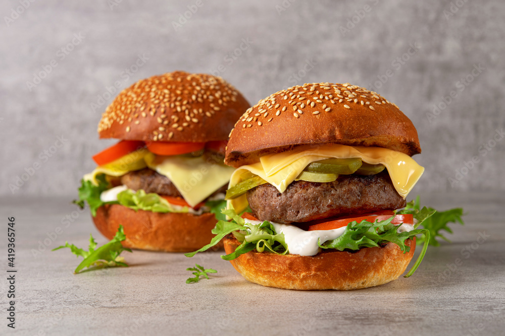 Two homemade hamburger Two homemade hamburger