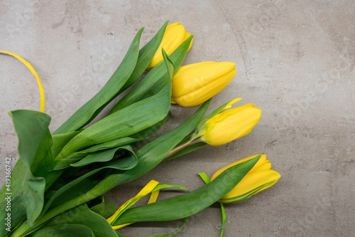 Beautiful yellow tulips on a gray textured background  on a dark gray marble. Bouquet of yellow flowers with green leaves on a gray background. Spring yellow-gray-green bouquet.