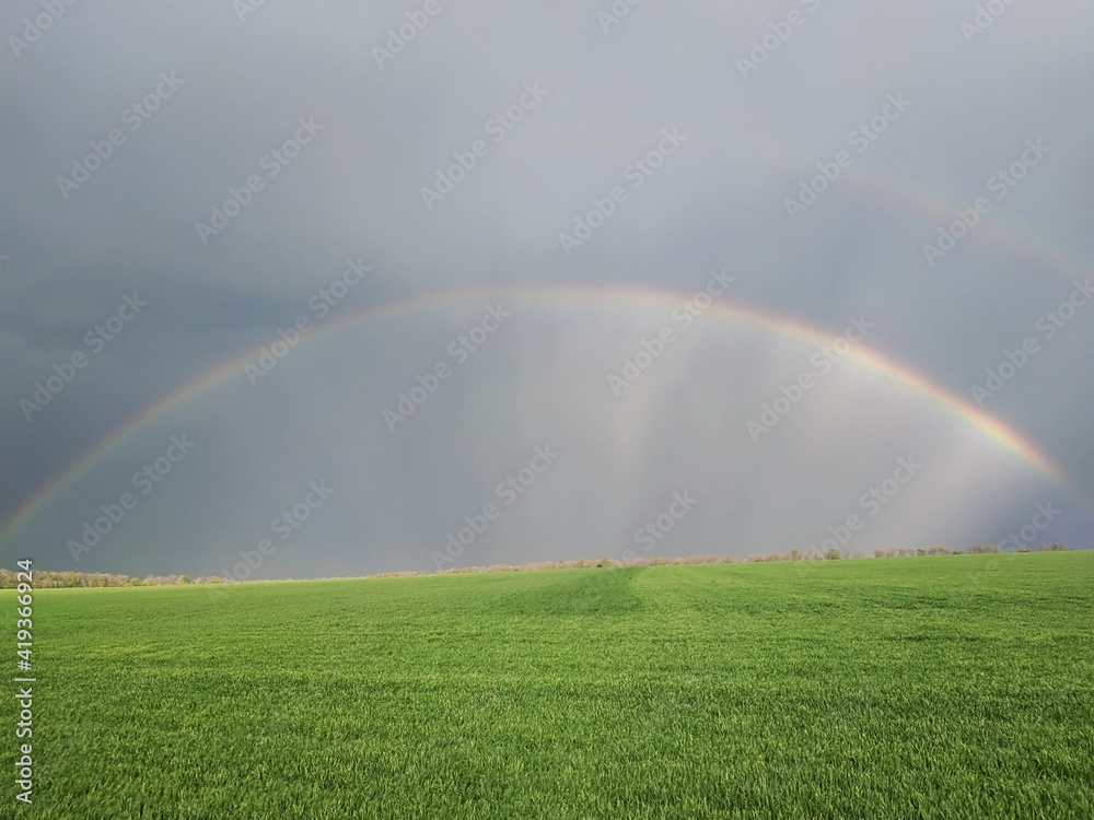 Naklejka premium rainbow over field