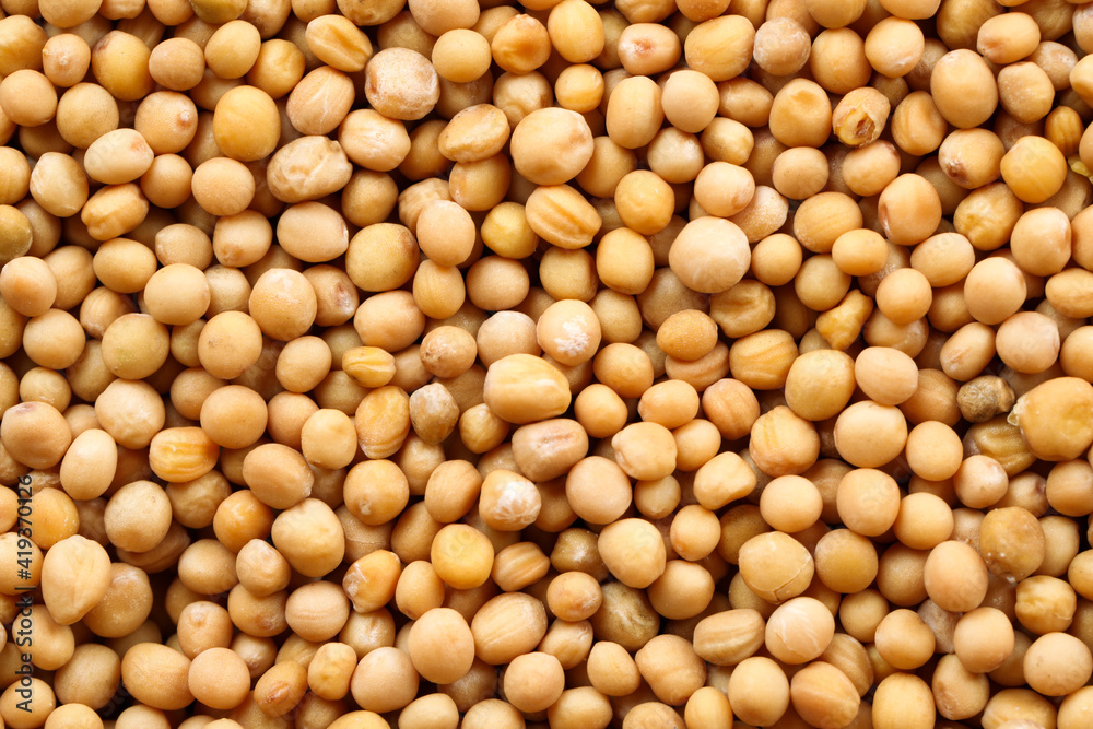 Many whole mustard seeds as background, closeup Many whole mustard seeds as background, closeup
