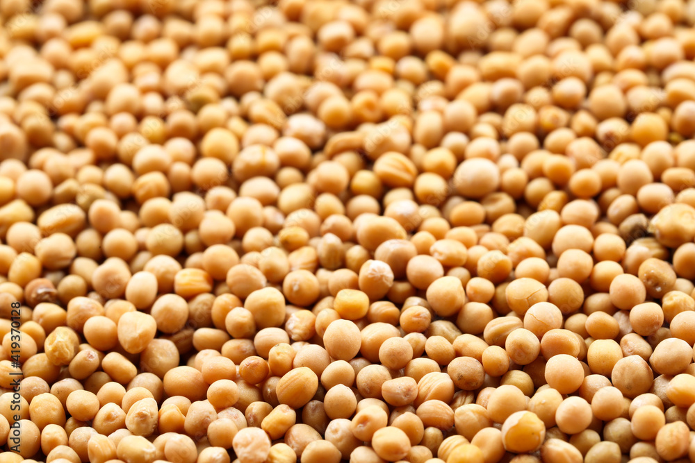 Many whole mustard seeds as background, closeup Many whole mustard seeds as background, closeup