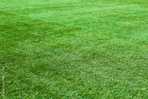 Beautiful artificial green grass. Background. Texture.