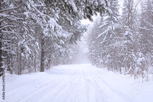 Beautiful winter snowy road in the forest. Background. Scenery.