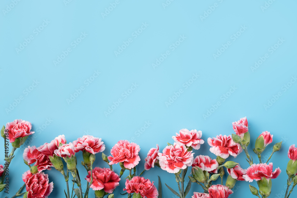 Concept of Mother's day holiday greeting gift with carnation bouquet on bright blue table background