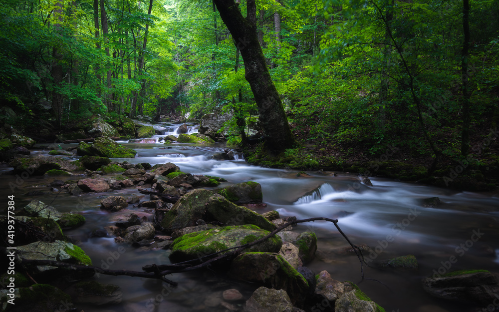 A creek leading to Roaring Run Falls on a calm and misty morning in Virginia. A creek leading to Roaring Run Falls on a calm and misty morning in Virginia.