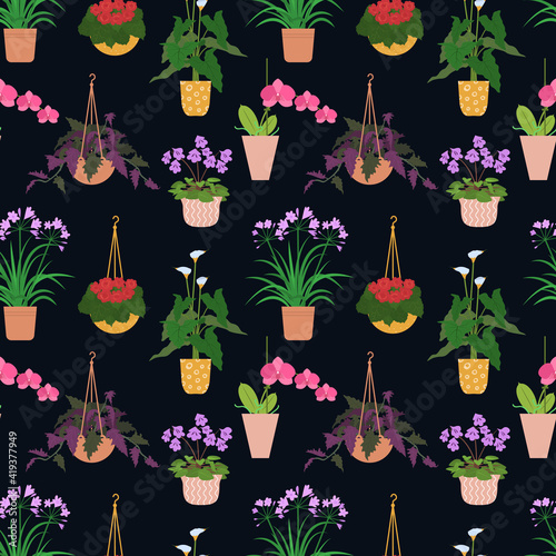 Seamless pattern from different potted house plants in colorful flower pots, orchid and begonia. On a black. background. Vector illustration. photo