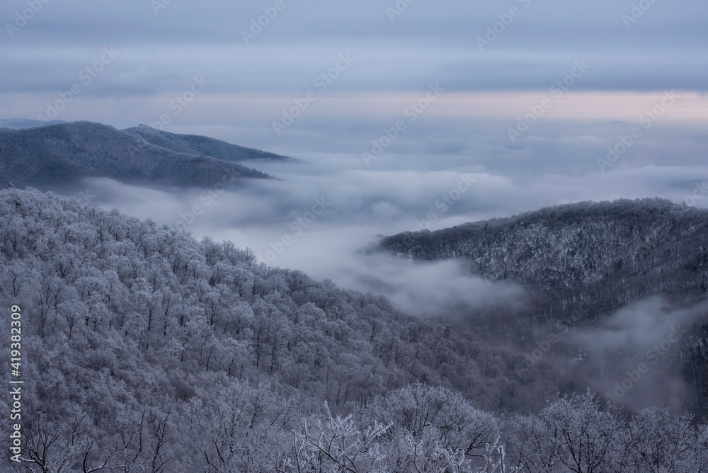 A sea of icy fog fills the valleys of Shenandoah National Park after an ice storm in Virginia.