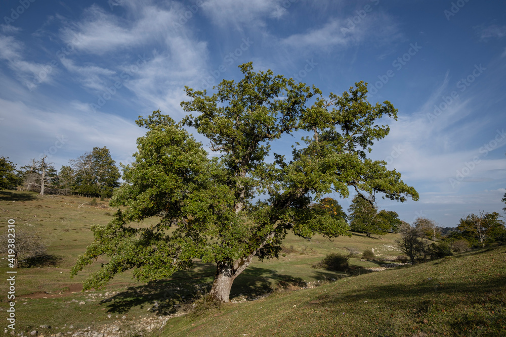 Parque Megalítico de Legaire, campas de Legaire , Álava, Pais Vasco, Spain Parque Megalítico de Legaire, campas de Legaire , Álava, Pais Vasco, Spain