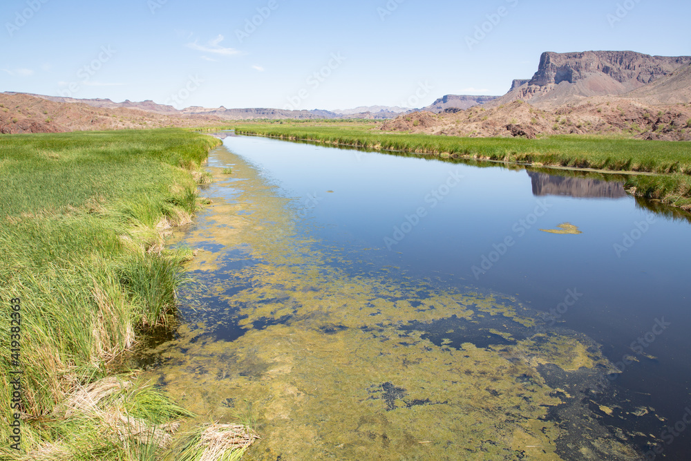 Bill Williams River National Wildlife Refuge, oasis in the Mojave desert, Arizona, USA