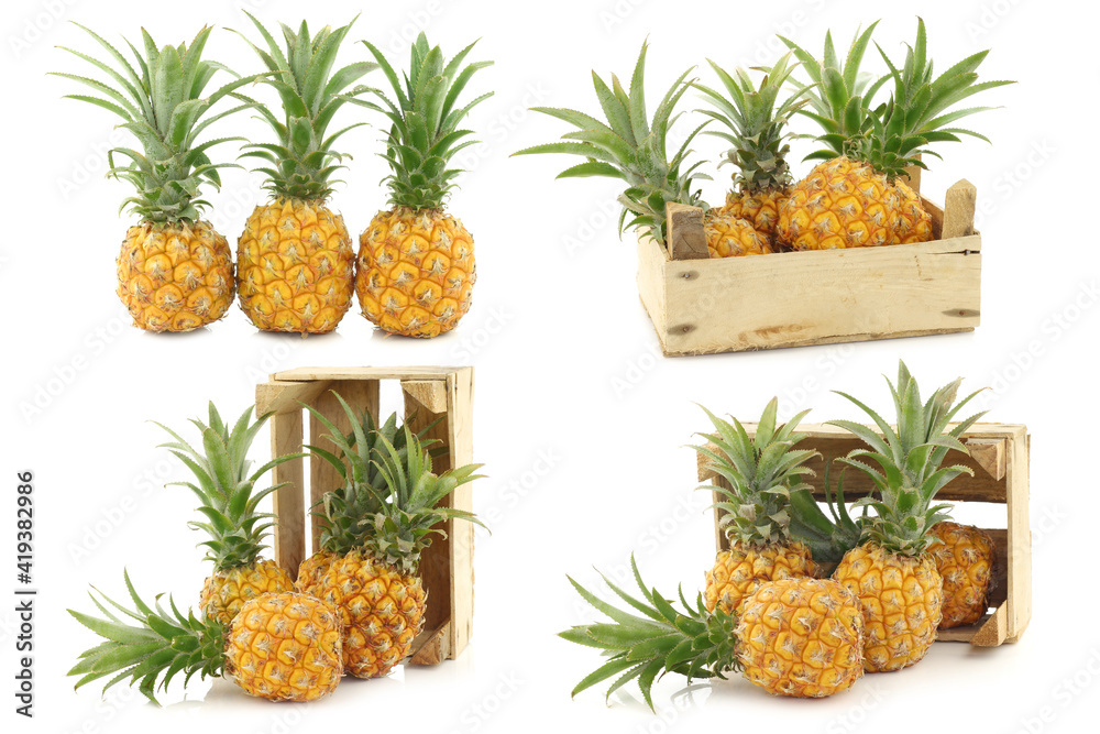 Fototapeta premium fresh mini pineapple fruit in a wooden box on a white background