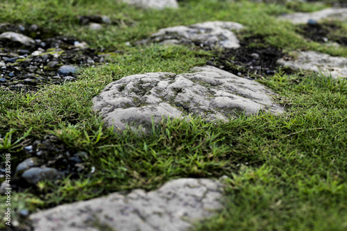 Grass and stones at a cliff.