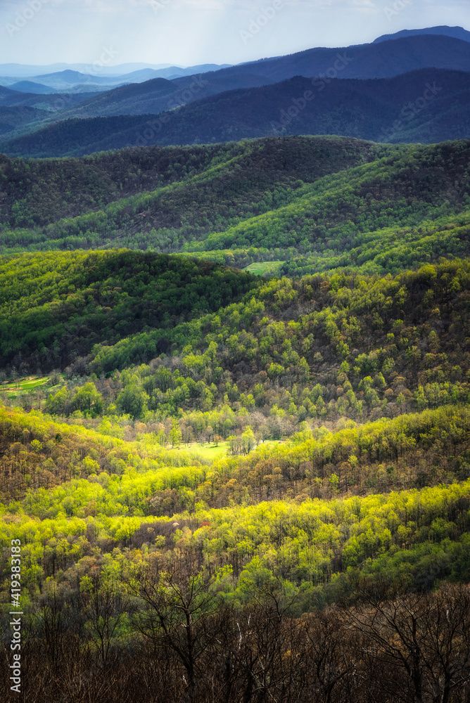 Sunlight illuminating the fresh greens of Spring down in the valleys of Shenandoah National Park.