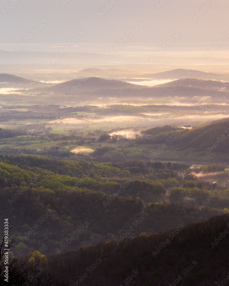 A closeup of the morning patches of fog and mist catching the golden light of the rising sun in the Virginian Piedmont.
